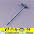 Roofing nail/common nail/nail making machine                        
                                                Quality Assured